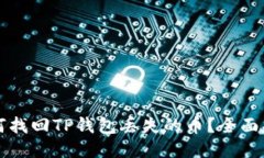 如何找回TP钱包丢失的币？全面指南