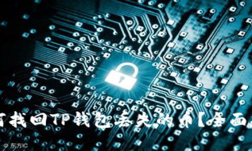 如何找回TP钱包丢失的币？全面指南