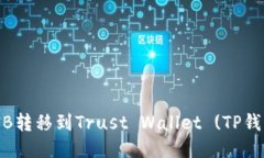 如何将币安BNB转移到Trust Wallet (TP钱包