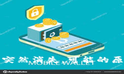 TP钱包里的币突然消失，可能的原因与解决方案