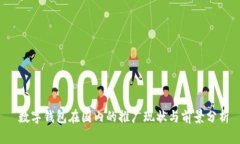  数字钱包在国内的推广现状与前景分