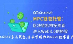CGPAY多元钱包：全面掌握你的USDT数字资