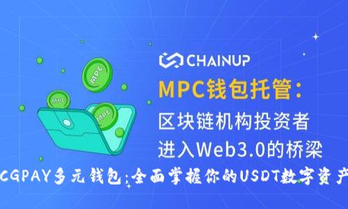 CGPAY多元钱包：全面掌握你的USDT数字资产