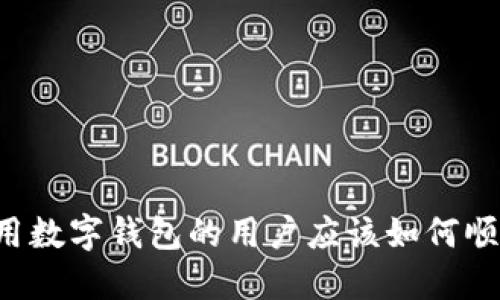 首次使用数字钱包的用户应该如何顺利登录?