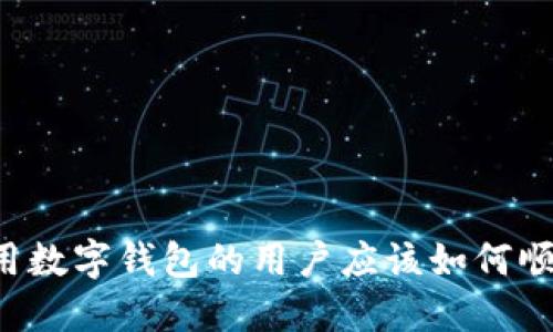 首次使用数字钱包的用户应该如何顺利登录?