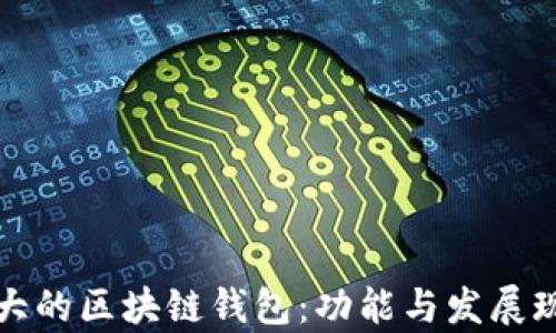 
全球最大的区块链钱包：功能与发展现状解析