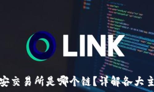   
TP钱包充值币安交易所是哪个链？详解各大主流链的优劣势