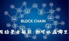 数字钱包的应用场景全解析：你可以在