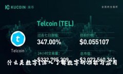 什么是数字？深入了解数字的功能与应