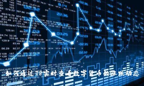 如何通过TP实时查看数字货币的涨跌动态