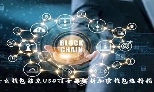 什么钱包能充USDT?全面解析加密钱包选择指南