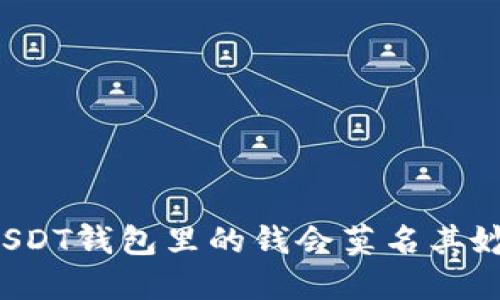 为什么USDT钱包里的钱会莫名其妙被转走?