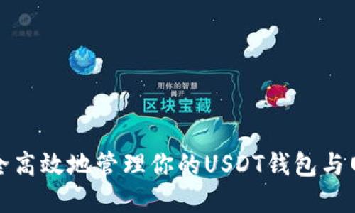 如何安全高效地管理你的USDT钱包与网盘数据