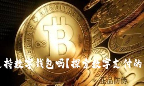 高速收费支持数字钱包吗?探索数字支付的便捷与安全