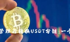 如何有效管理与转换USDT分链：一个全