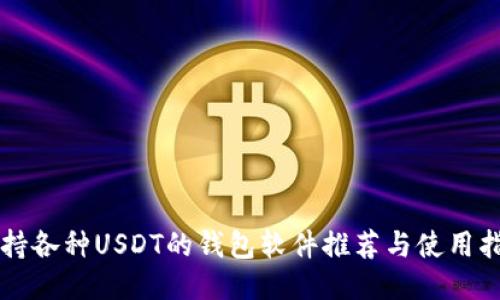 支持各种USDT的钱包软件推荐与使用指南