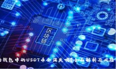 波场钱包中的USDT币会消失吗？全面解