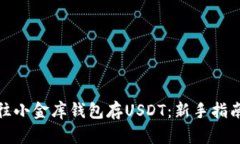 : 如何往小金库钱包存USDT：新手指南与